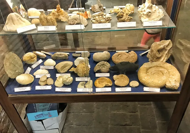 Museum of Natural History