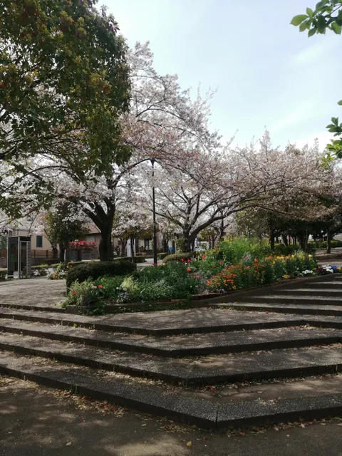 Akanedai Kumanoyato Park