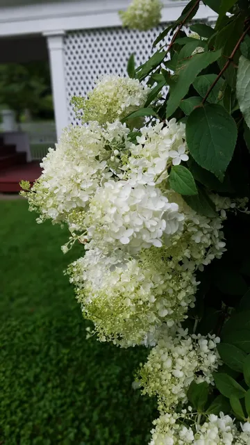photo-1