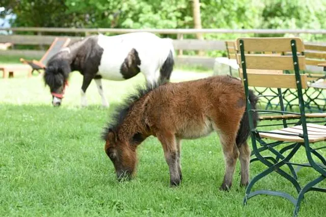 Gut Aiderbichl Deggendorf