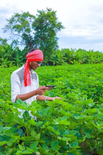Kampoeng Teh Semugih