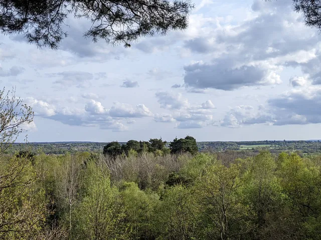 Finchampstead Ridges