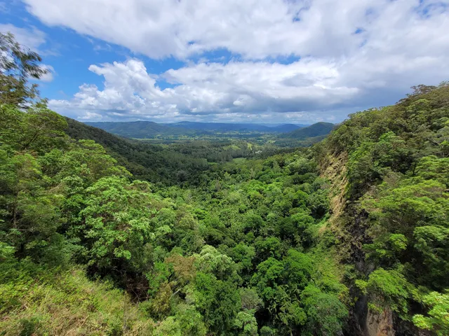 Mapleton Falls lookout