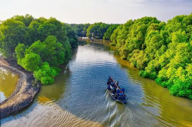 Hutan Mangrove Pantai Lestari Karangsong