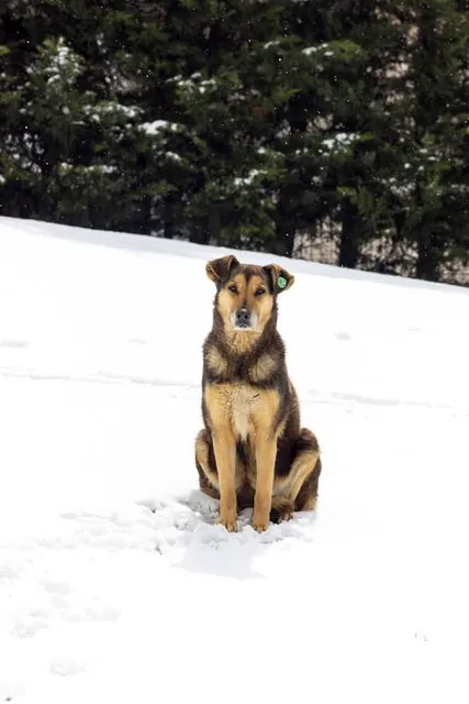 Ekotropa "Koltushskiye Vysoty"