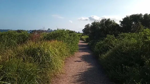 Puckeys Estate Reserve