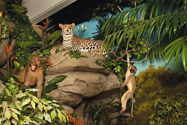 Rosenbruch World Wildlife Museum