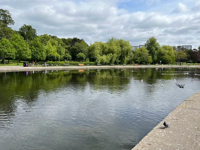Victoria Park Pond