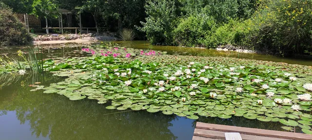 Βοτανικός Κήπος Κεφαλονιάς