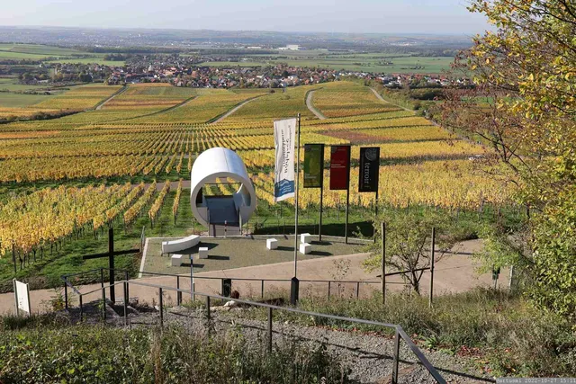 terroir f Rödelsee - Der Silvaner