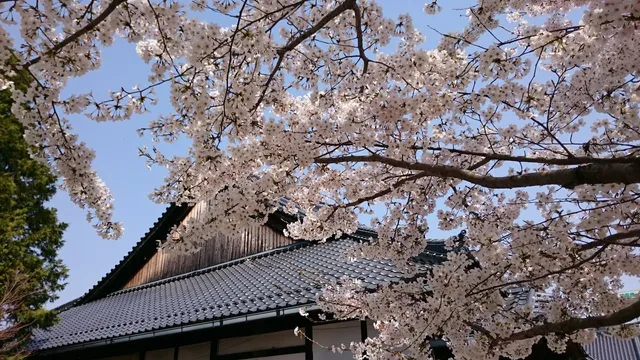 photo-1
