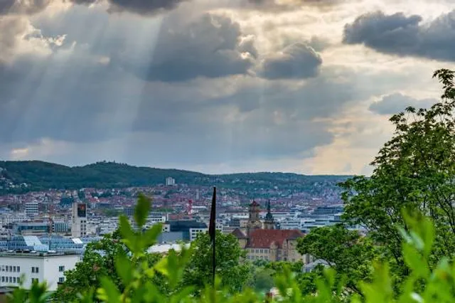 Botánico de Montealegre
