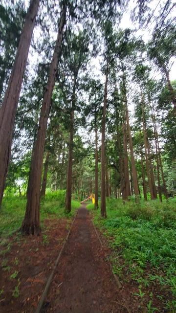 Minamidai Kodomo no Mori Park
