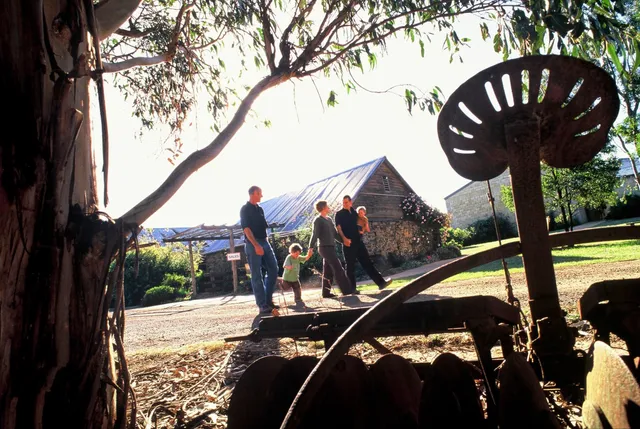 Spring Vale Vineyard