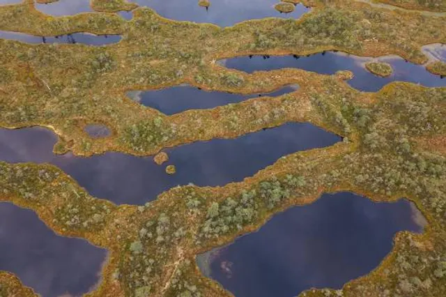 Parque Natural Municipal do Gericinó