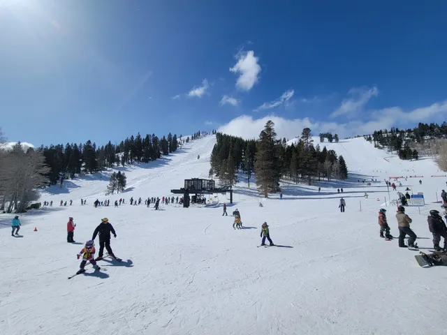 photo-1