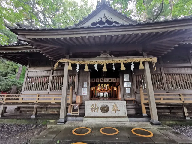 photo-1