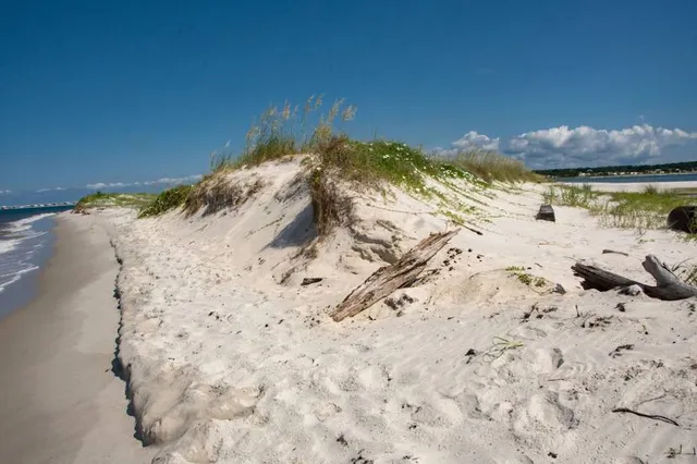 Dauphin Island Beach