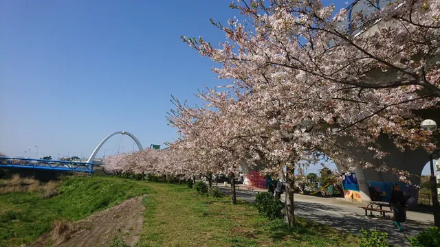 Shonanyumewakuwaku Park