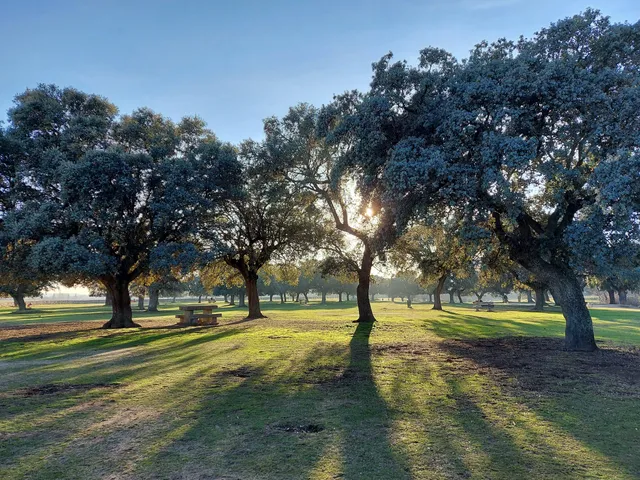Parque La Dehesa