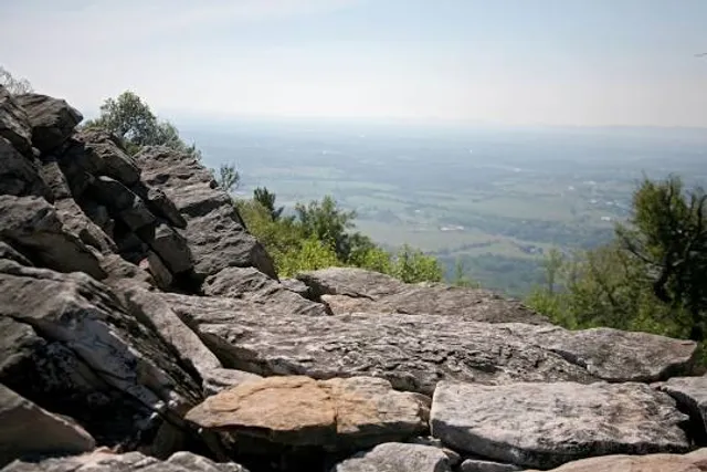 Waggoner's Gap Hawk Watch