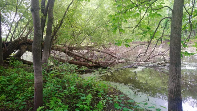 Sentiers pédestres des îles de Berthier
