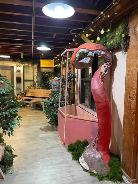 Weird Sisters Freak Boutique