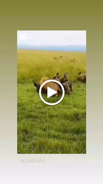 Bar e Mercearia Mini Tudo (Bar do Luiz)