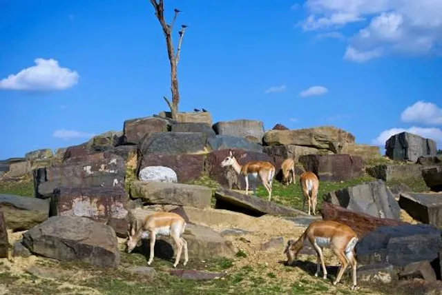 Six Flags Hurricane Harbor New Jersey