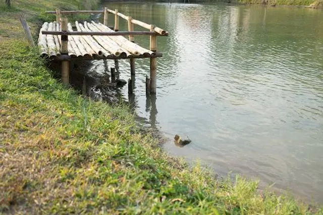 Lac de la Thésauque