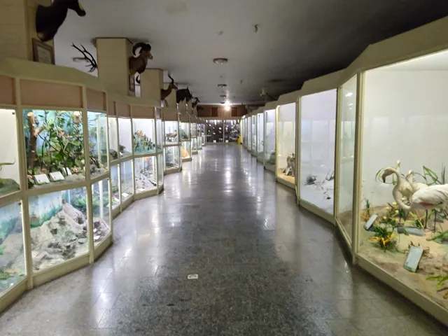 Natural History Museum of Bu-Ali Sina University