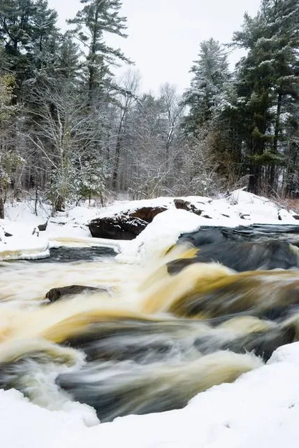 Flambeau River State Forest