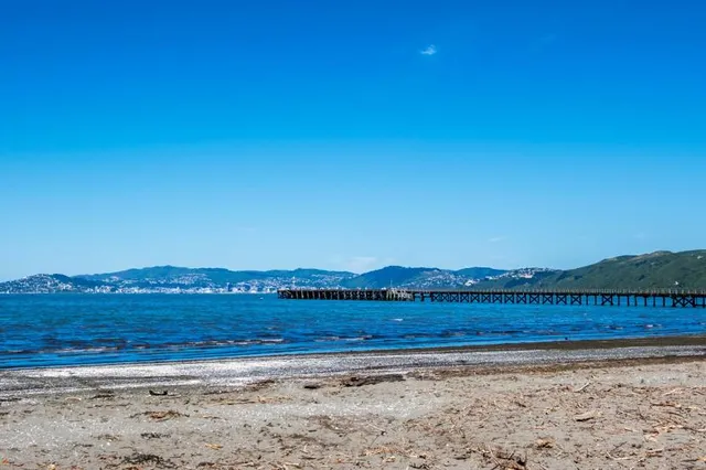 Petone Beach