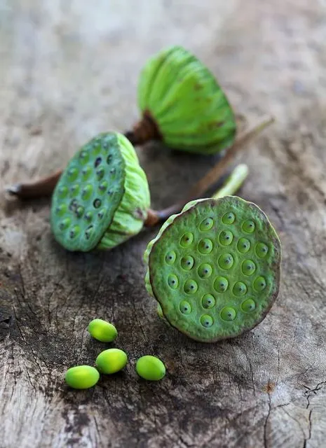 Castle of La Garde-Guérin