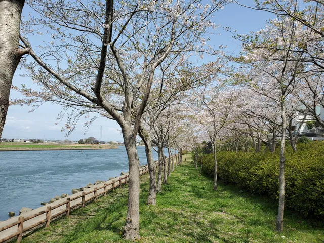 Sakuramichi Park