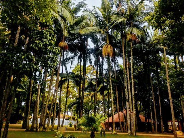 Núcleo Itaim Biacica