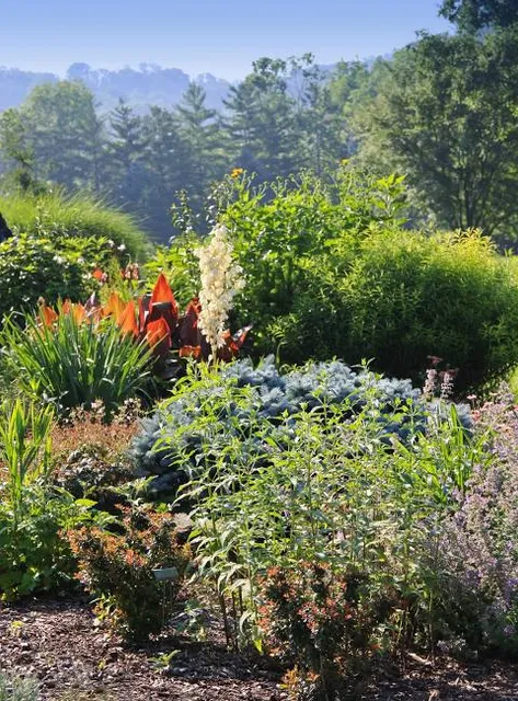 University Of Tennessee Gardens