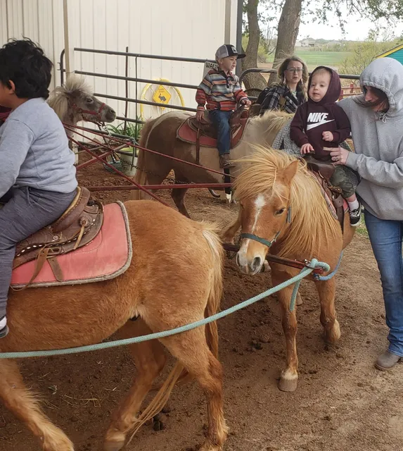 Chester's Party Barn & Farm