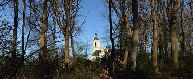 Schlossruine Neideck