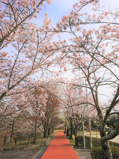 Nisshin Municipal Sports Park