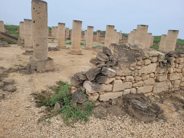 Al Baleed Archeological Park