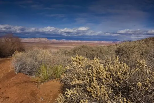Rim Trail - Lake View Trailhead