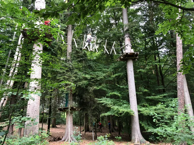 Waldkletterpark Oberbayern