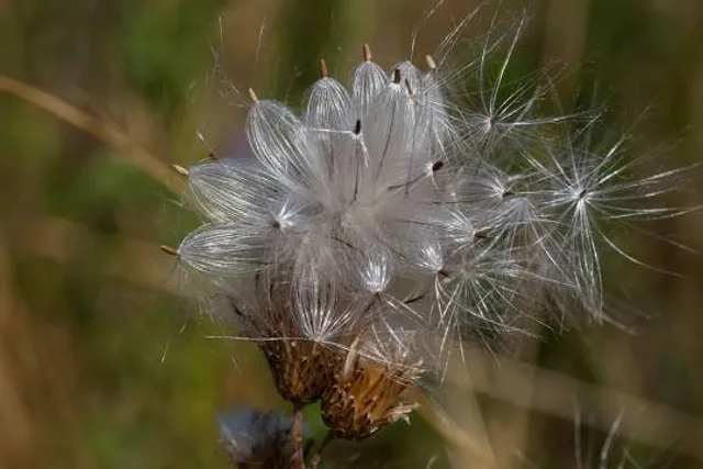 JACK Thistledown Racino