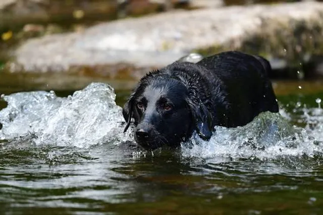 PARQUE TEMÁTICO HISGEOPAR