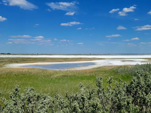 Chaplin Nature Centre