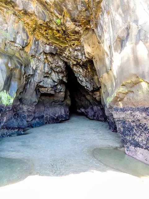 Muriwai's Cave