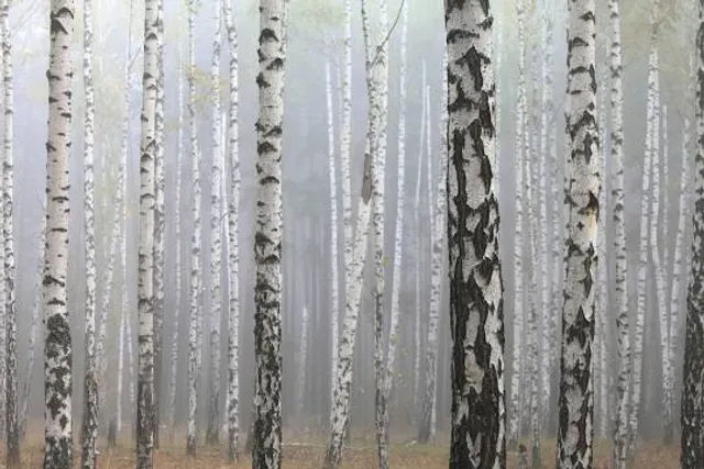 Mokozuka (Mongolian Army Memorial Tower)