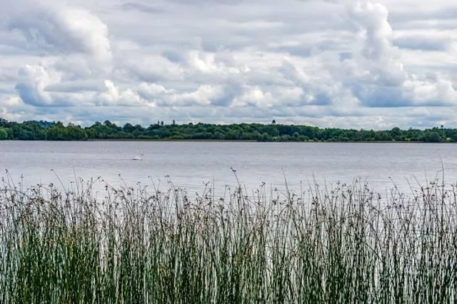 Lough Ennell