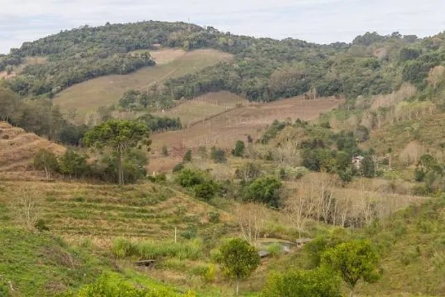 Amethyst Park Museum